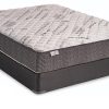 Mattress and box spring black white and gray